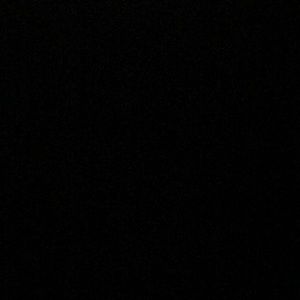 Meet your Posher, Leila